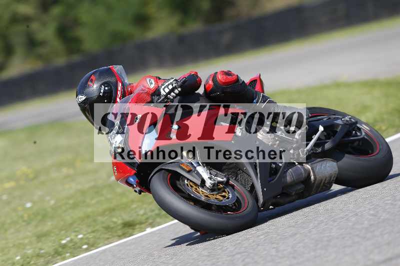/46 11.08.2025 PADDYS-RACES-DAYS ADR/Sport-Profi/961